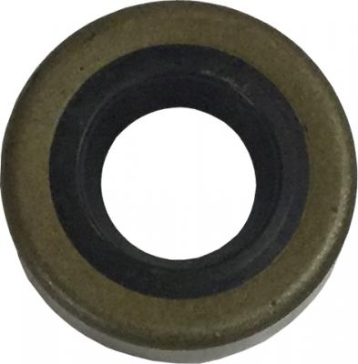 Oil Seal for Rotovac 360i